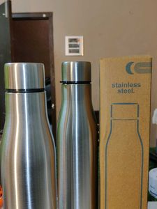 Stainless Steel Water Bottles (Set of 2)