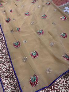 Exquisite Embroidered Saree