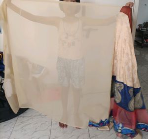 Beautiful Saree/ Ghagara