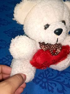 Cute Little Taddy