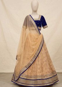 Elegant Royal Blue Velvet Blouse &amp; Net Lehenga