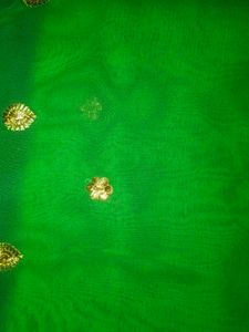Embroidered Blue Saree with Green Accents