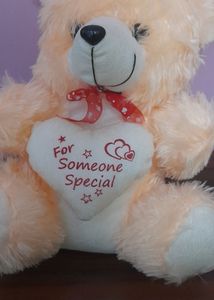 Soft Teddy