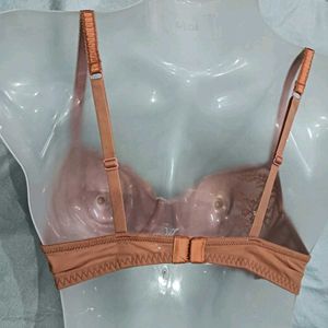 😍 Lace Trimmed Bra