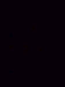 Test 1