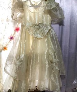 Elegant Dress