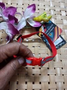 Reflective Pet Collar 1 Pc