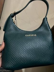Caprese Green Hobo Handbag