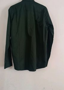 New Green Shirt