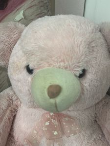Cute Pink Teddy Bear Plush Toy