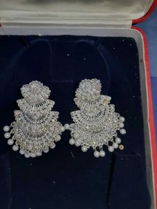 Elegant Silver Tone Earrings