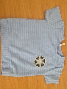 Cute Blue Textured Top with Flower Applique