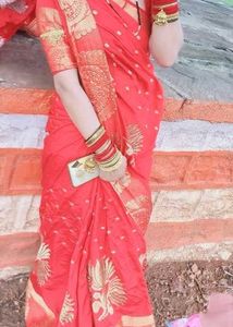 Elegant Red Saree with Gold Motifs