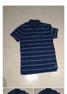 Striped Polo T-Shirt