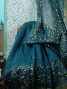 Peacock Green Embroidered Saree