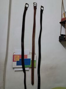 Woodland Pack Of 3 Premium Belts
