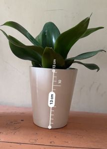 Ceramic White Planter