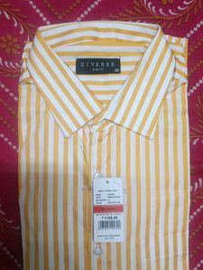 Diverse Slim Fit Striped Shirt
