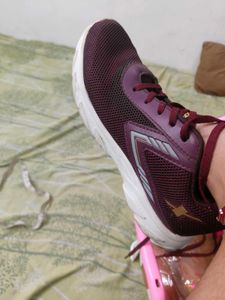 Maroon Sparx Sports Shoes