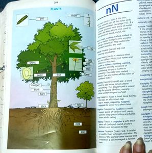 Orient BlackSwan Junior English Dictionary