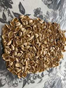 Pista Shells