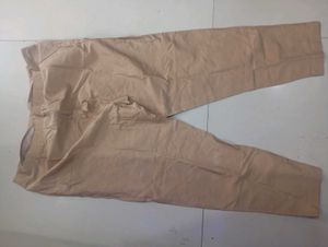 Classic Beige Ethnic Pants