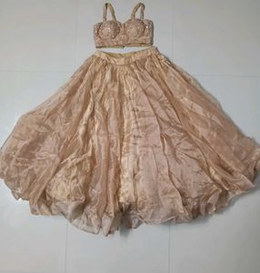 Golden Beige Embroidered Lehenga Set