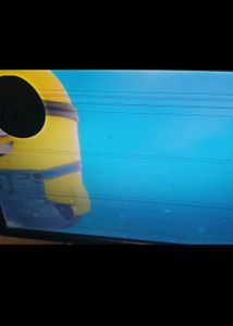 dell monitor 19inch with black dot and lines