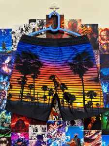 Men's Sunset Palm Tree Swim Shorts