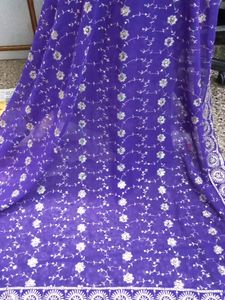 Beautiful Lehenga Saari