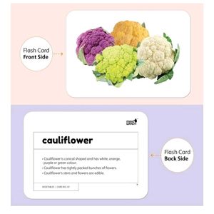 Educational - Flash Cards