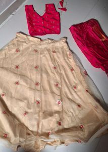 Elegant Lehenga Choli Set