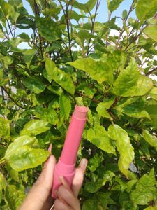 SUGAR Glide Peptide Plumping Gloss Stick