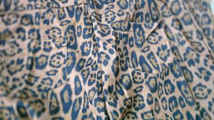 Y2k Flared Pant