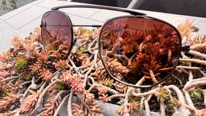 Stylish Aviator Sunglasses