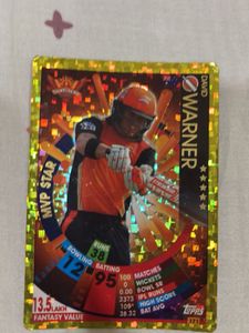 David Warner Gold MVP Star