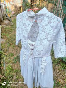 Elegant  Lace Dress
