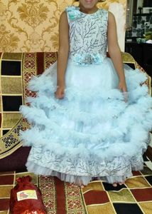 Girl's Fancy Dress