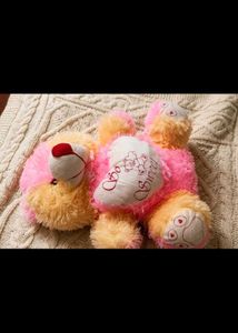 taddy with heart pillow combo