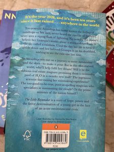 The Little Rainmaker Book