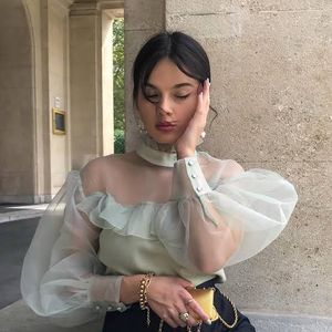 Sheer Sleeve Ruffle Top