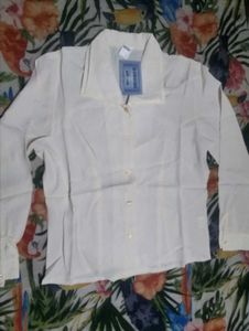 Elegant Cream Blouse