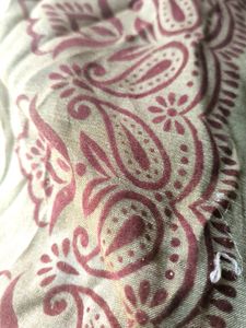 Velvet Design Saree