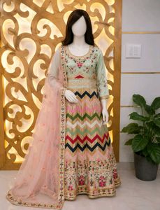 Elegant Pakistani/Indian Anarkali Dress
