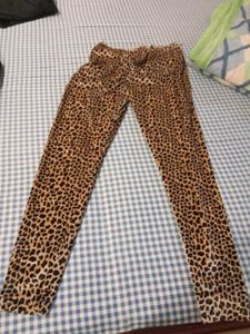 Leopard Print legging