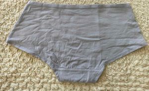 Danskin Intimates Organic Cotton Panty ✨