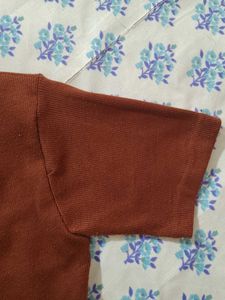 Zara Brown Crop Top