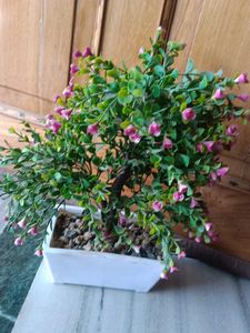 Artificial Plant with Pink Flowers