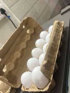Cardboard Egg Cartons