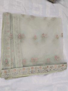 Light green lehenga (Totally New Leheng